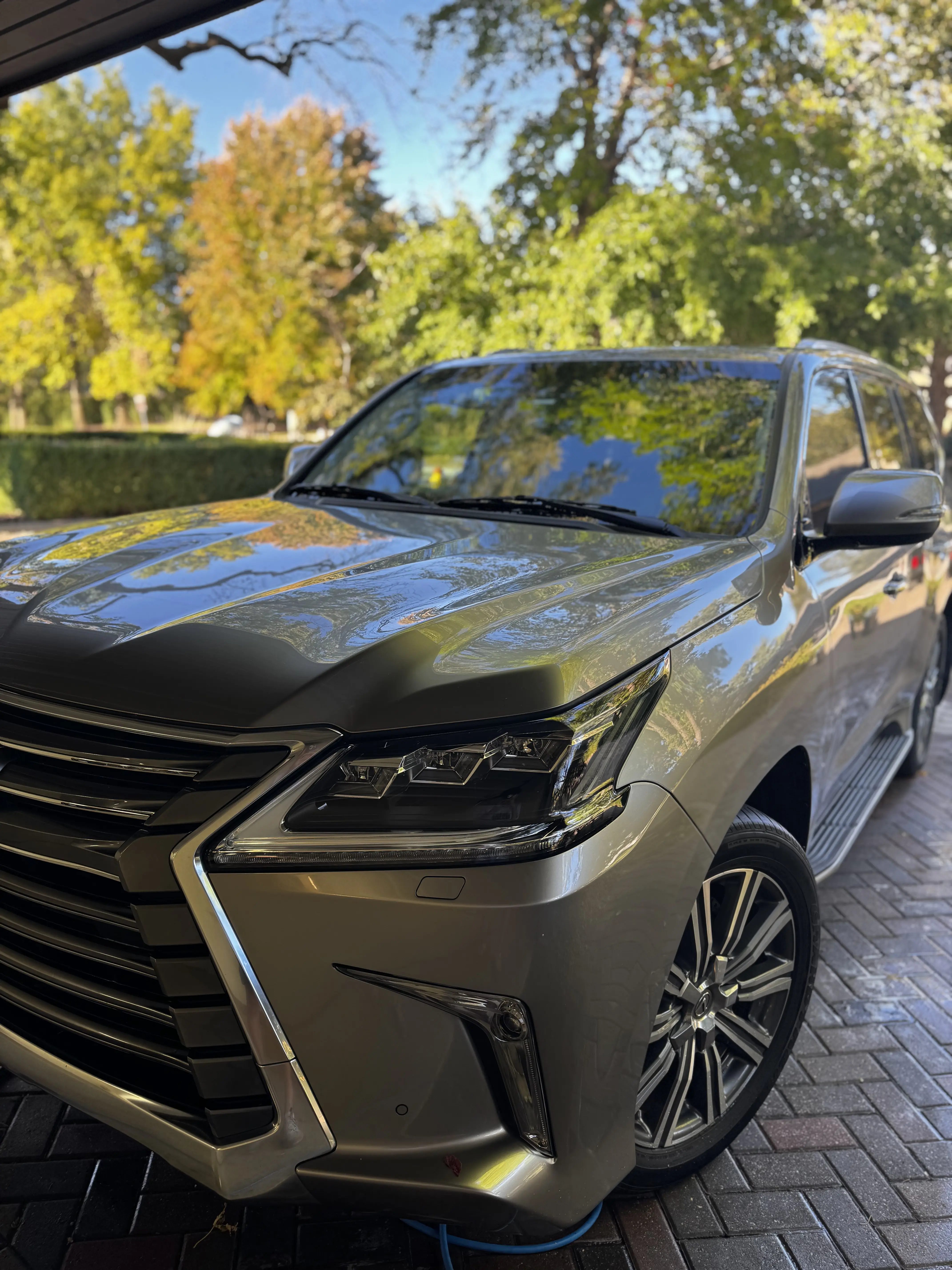 Paint correction on Lexus SUV - Signature Auto Detailing